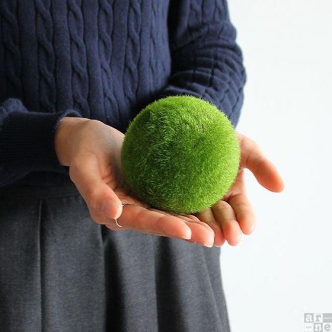 100均でOK！フェイクグリーンで作るグリーンボールがインテリアのアクセントになる！  WEBOO[ウィーブー] 暮らしをつくる