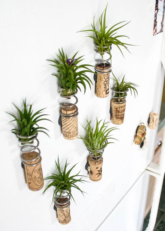 センス良く飾ろう 壁掛け観葉植物のお洒落なディスプレイアイデア集 24選 Weboo ウィーブー 暮らしをつくる