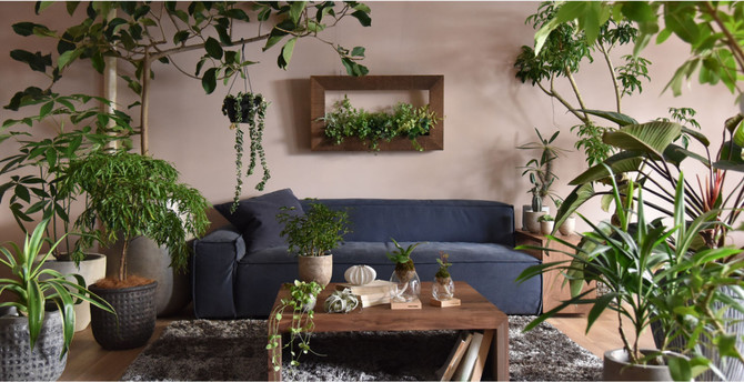 センス良く飾ろう 壁掛け観葉植物のお洒落なディスプレイアイデア集 24選 Weboo ウィーブー 暮らしをつくる