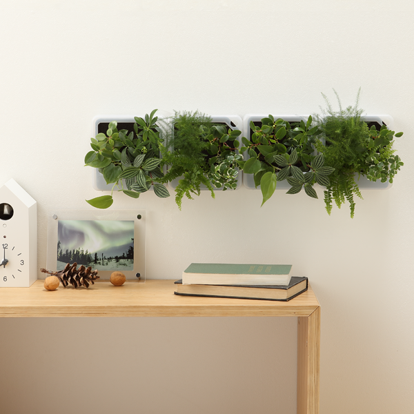 無印良品の『壁掛け観葉植物』の魅力とお洒落さんのディスプレイアイデア集 | WEBOO[ウィーブー] 暮らしをつくる